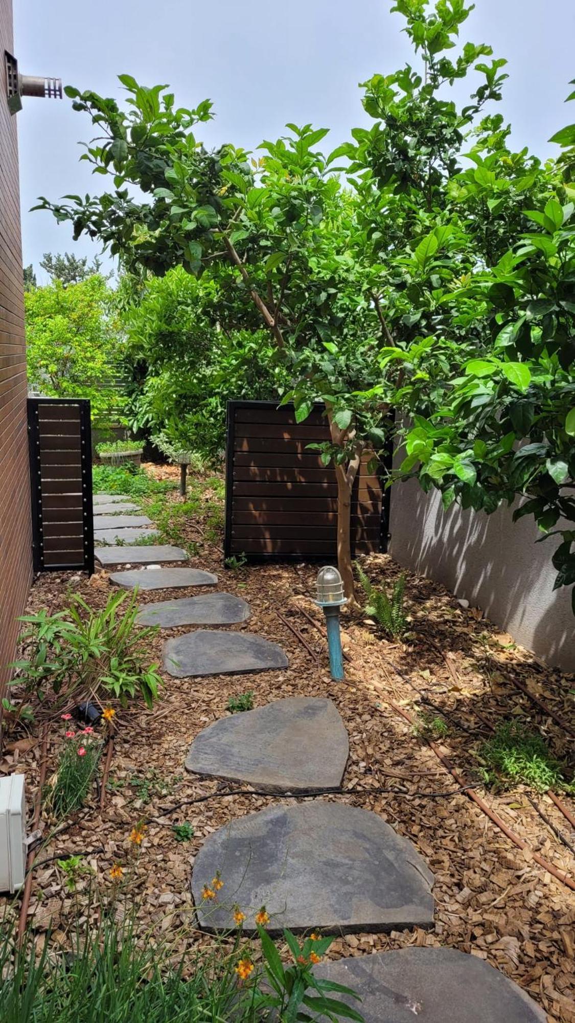 נקודות ריפוי Tirat Carmel Exterior foto